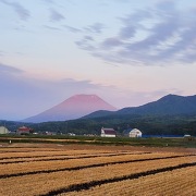 蘭越の田園風景から望む羊蹄山 蘭越の田園風景から望む羊蹄山