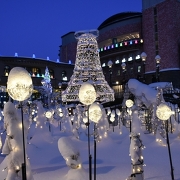 白い恋人パークのイルミネーション 白い恋人パークのイルミネーション