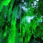 支笏湖氷濤まつりの様子 支笏湖氷濤まつりの様子