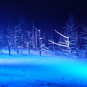 青い池のライトアップ 青い池のライトアップ